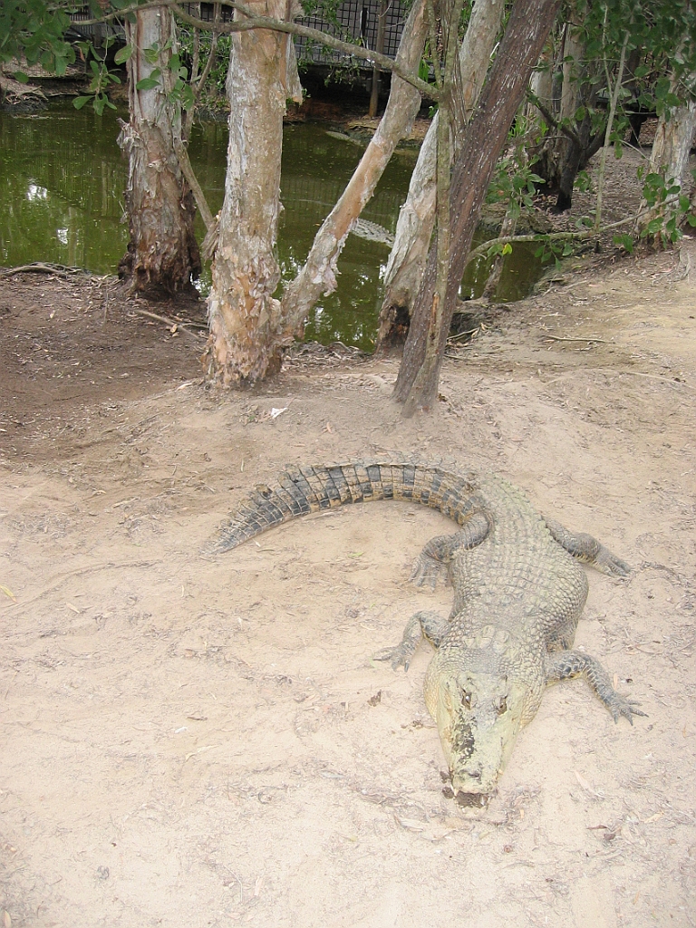 213 Hartley's Crocodile Farm.jpg